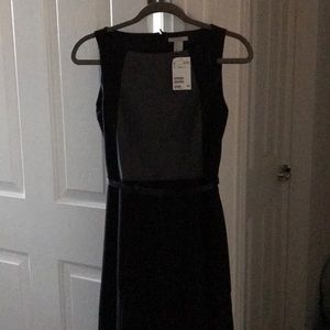 H&M lined fit and flare